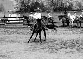 À la rencontre des cultures sportives locales : Jeux uniques et traditions autour du monde