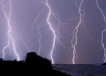 Franchir les Limites : Le Parcours d’Usain Bolt pour Devenir l’Homme le Plus Rapide du Monde