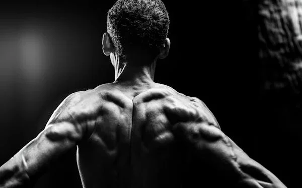 Athlean-X : L’Approche Scientifique du Fitness