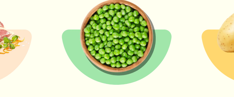 Just Russel : une alimentation pensée pour les besoins de chaque animal