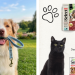 Morin : un spécialiste français des équipements pour chiens et du sport canin