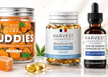 CBD FR : un univers consacré au cannabidiol