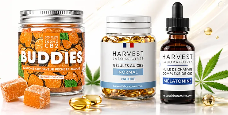 CBD FR : un univers consacré au cannabidiol